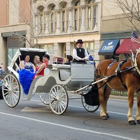 Horse-drawn carriage pulling prom goers