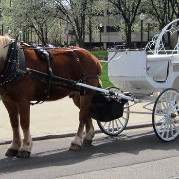 woman standing next to horse and carriage