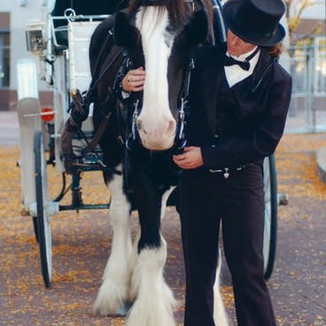 woman in tux and top hat with horse