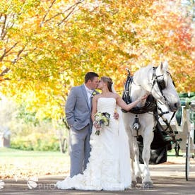 bride and groom in fall infront of horse and carriage